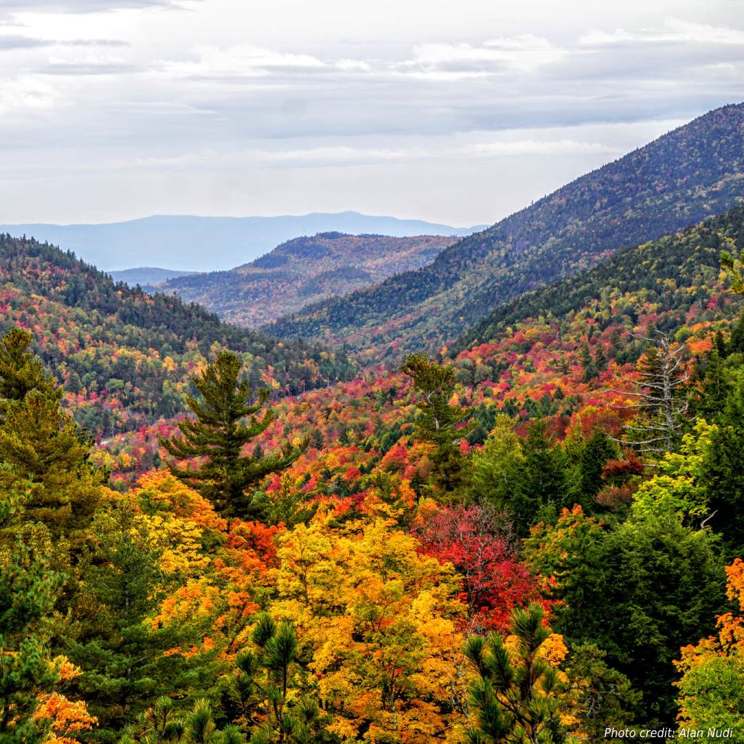 Adirondack Fall Guide Find Views of the Foliage, Fall Events & More