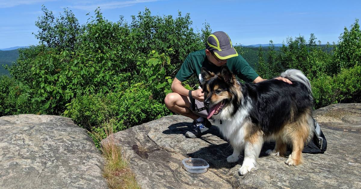 small dogs that like to hike