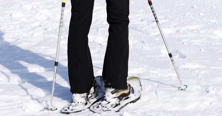 Snowshoeing in the Adirondacks: Trails, Tips & More