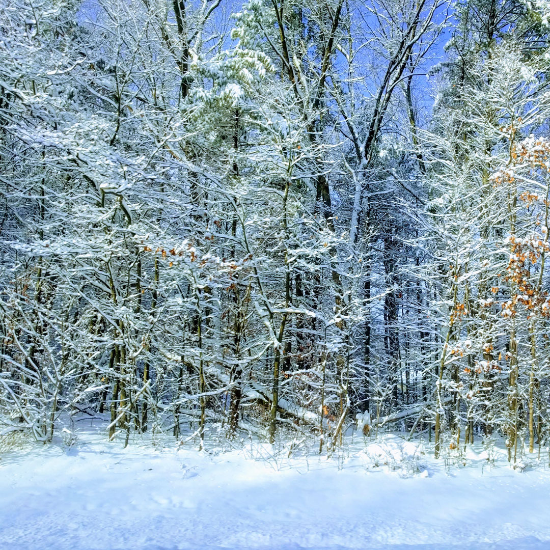 Adirondack Winter Hiking Guide: Top Tips, Info & More