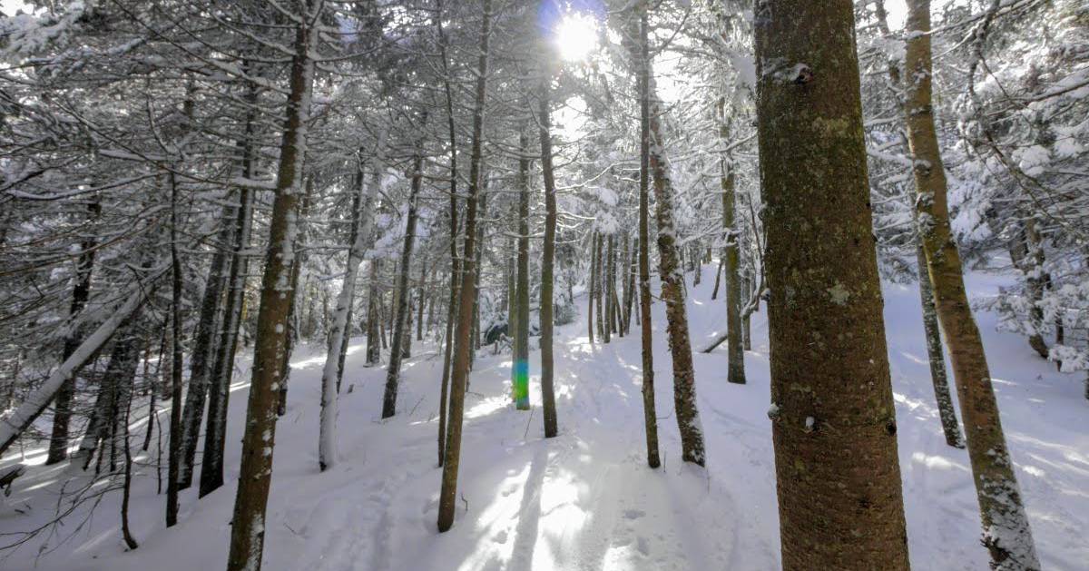 Try Glade Skiing In The Adirondacks